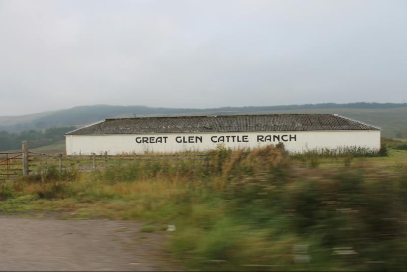 Great Glen Cattle Ranch